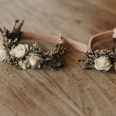 Dog Collars
