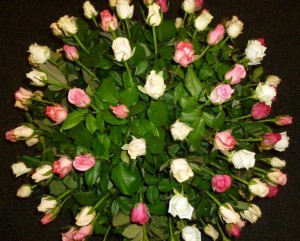 Floral-Roses1