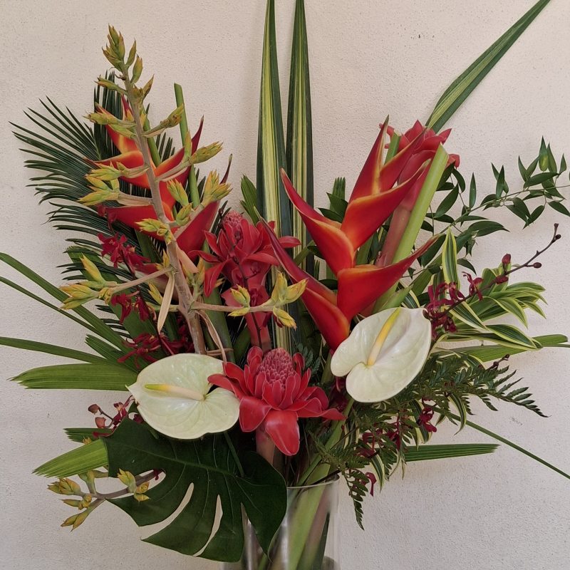 Tropical Spectacular